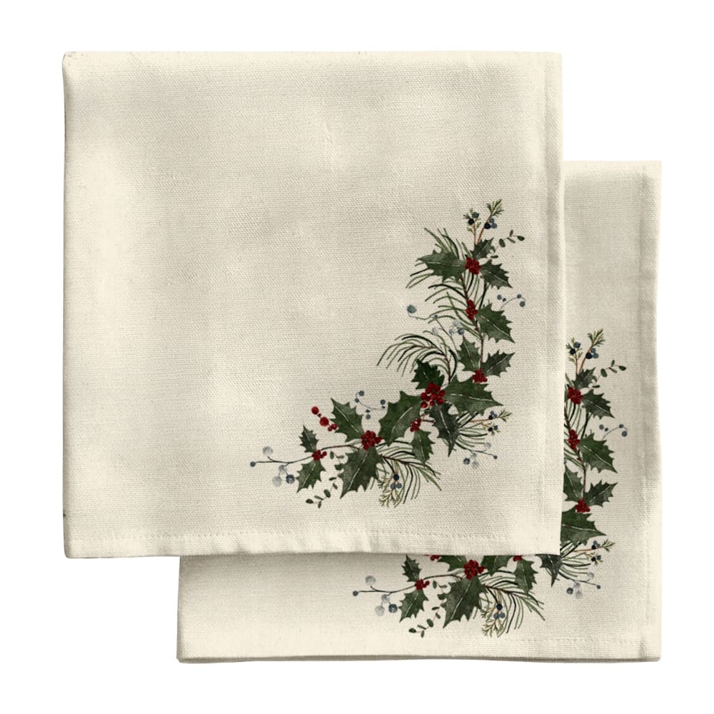 Serviettes 100&nbsp;% coton (x2) multicolore 43x43 cm