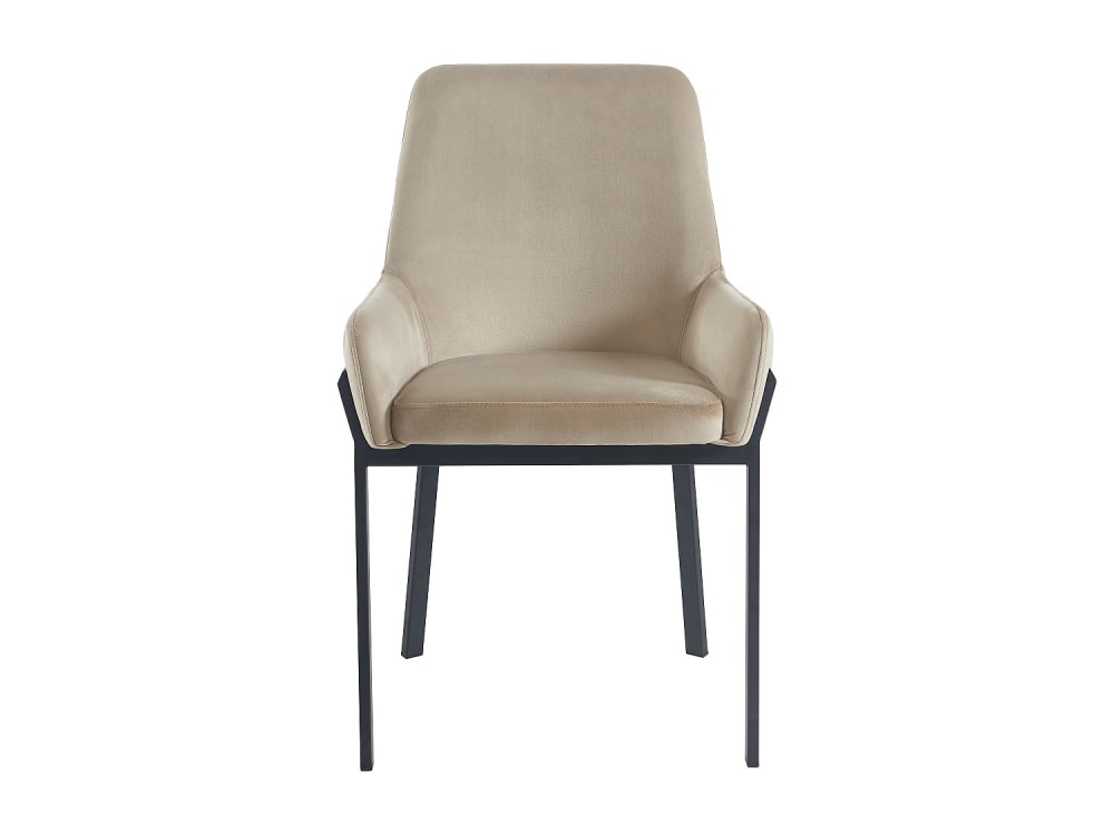 Lot de 2 chaises velours
