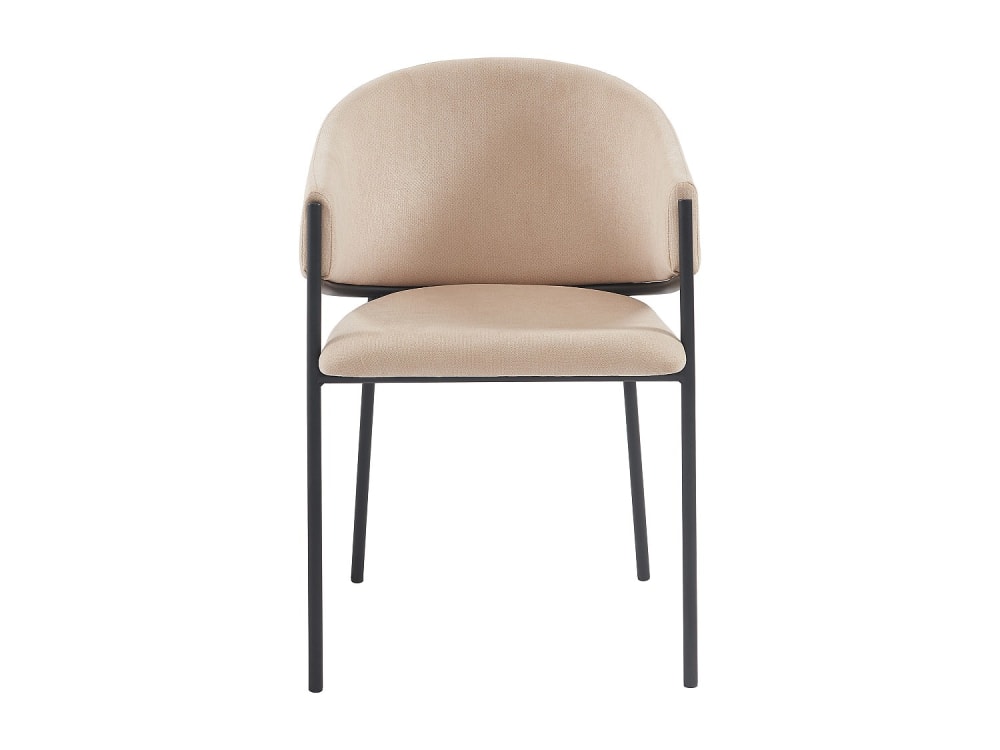 Lot de 2 chaises avec