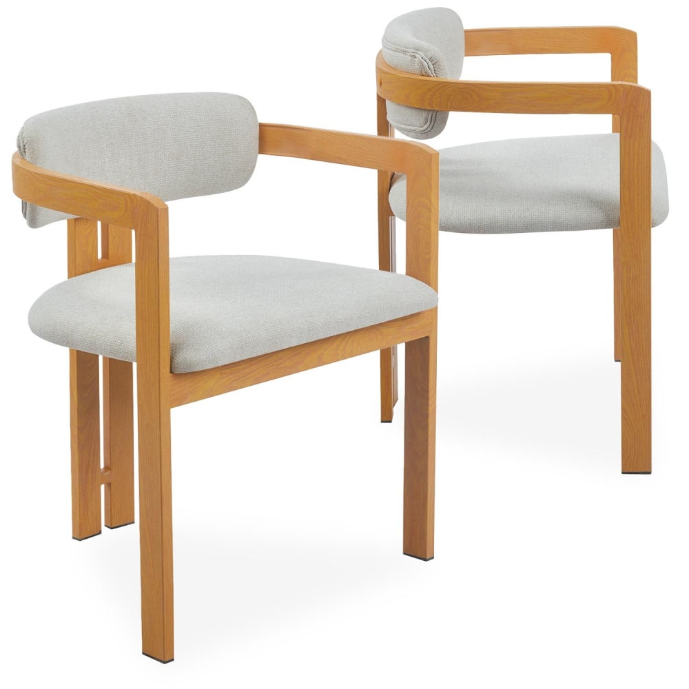 Lot de 2 chaises design