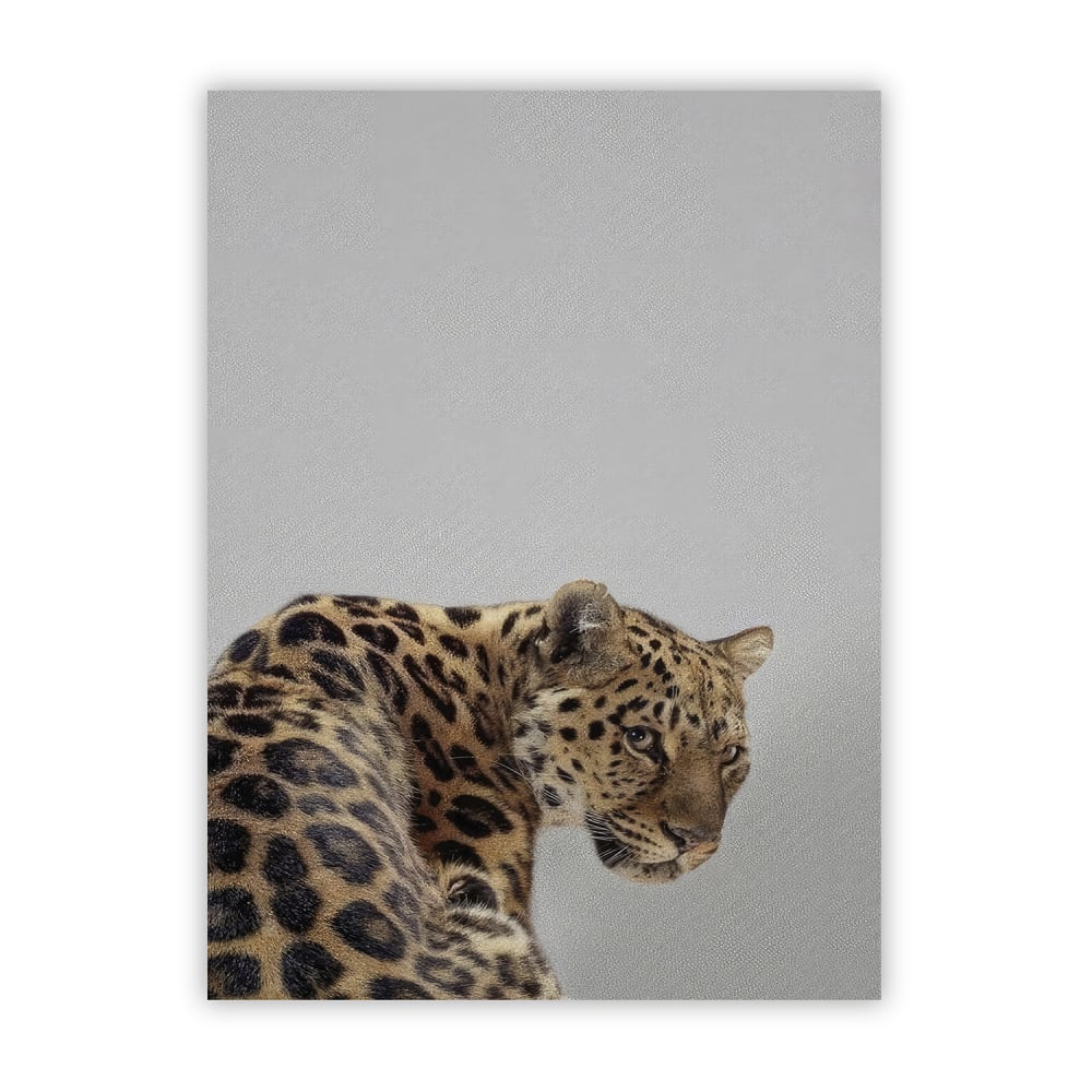 Poster Lab Poster leopard, 30x40 cm Mehrfarbig Papier