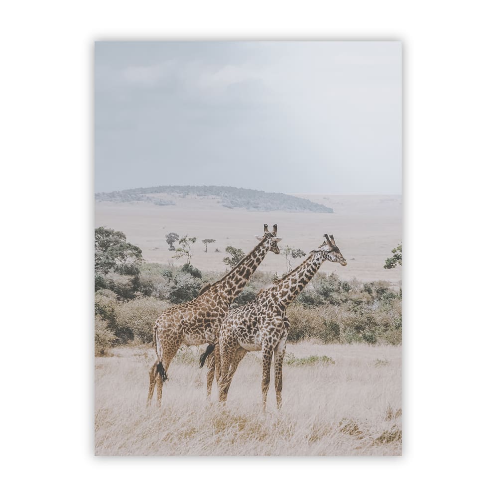 Poster Lab Poster giraffe, 30x40 cm Mehrfarbig Papier