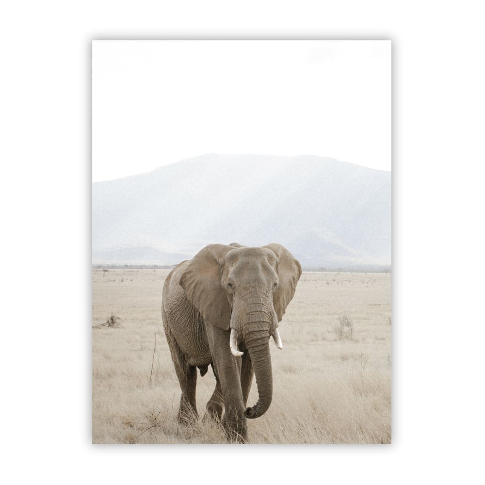 Poster Lab Poster elefant, 30x40 cm Mehrfarbig Papier
