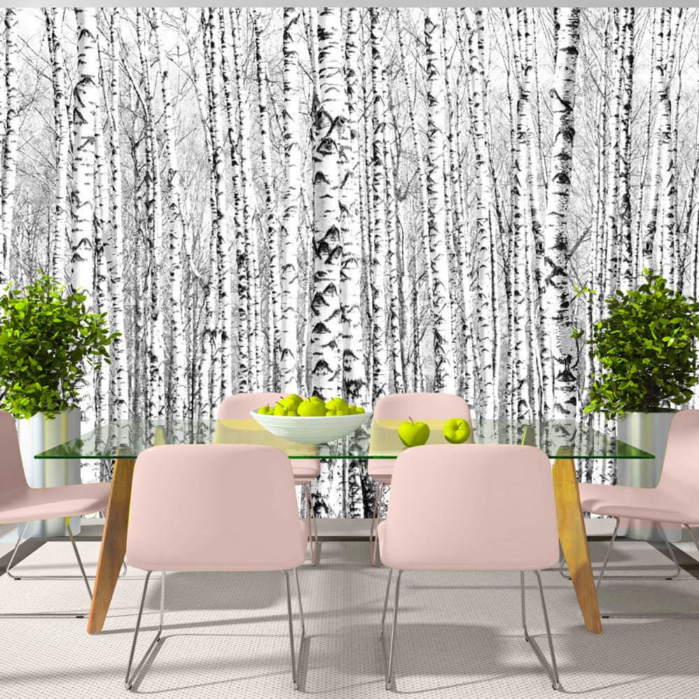Papier peint forêt de bouleaux 350 x 245 cm — vue 3