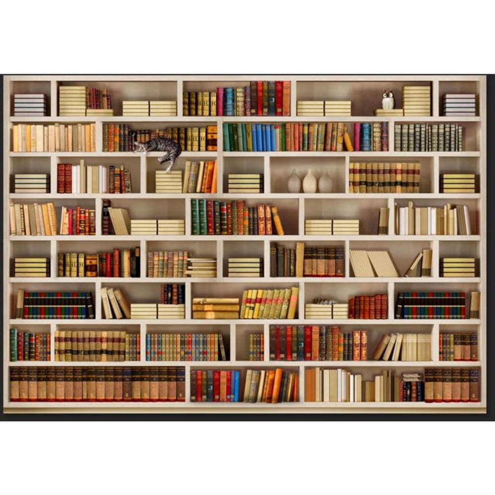 Papier peint bibliothèque domestique 250 x 175 cm
