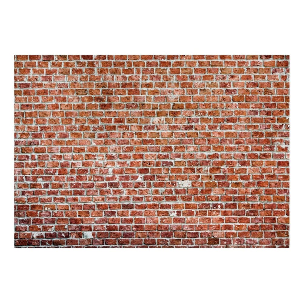 Papier peint roche rouge 350 x