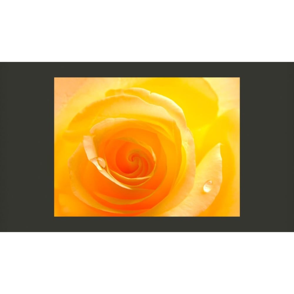 Papier peint rose jaune - 230