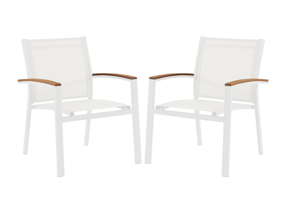 Lot 2 chaises jardin