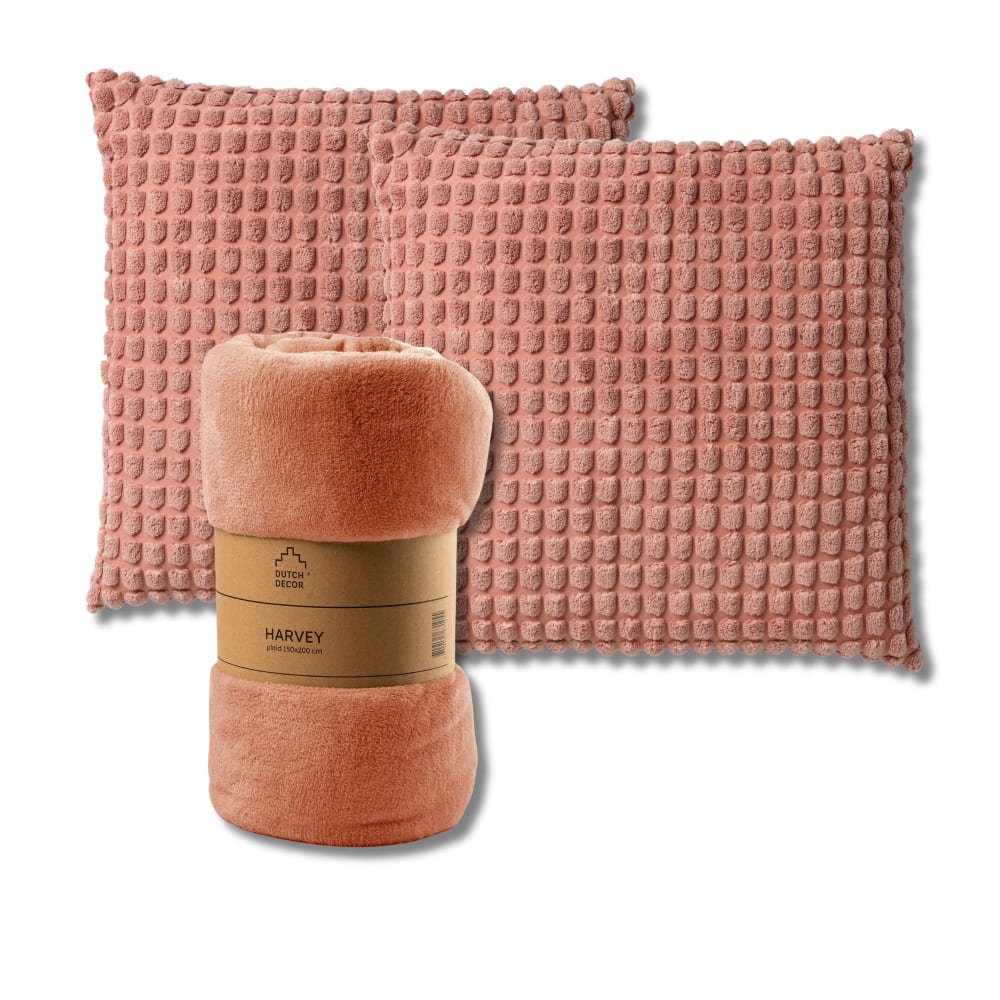 Set de 2 coussins avec plaid Rose