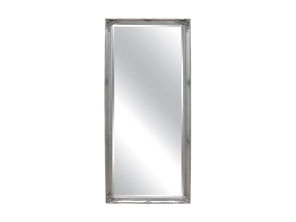 Miroir mural eucalyptus argenté