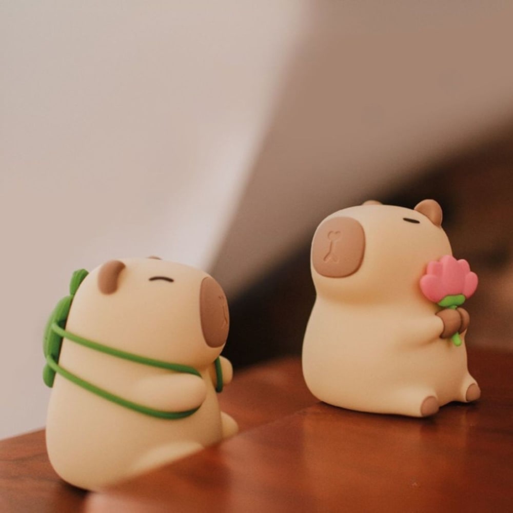 Veilleuse rechargeable - image 3