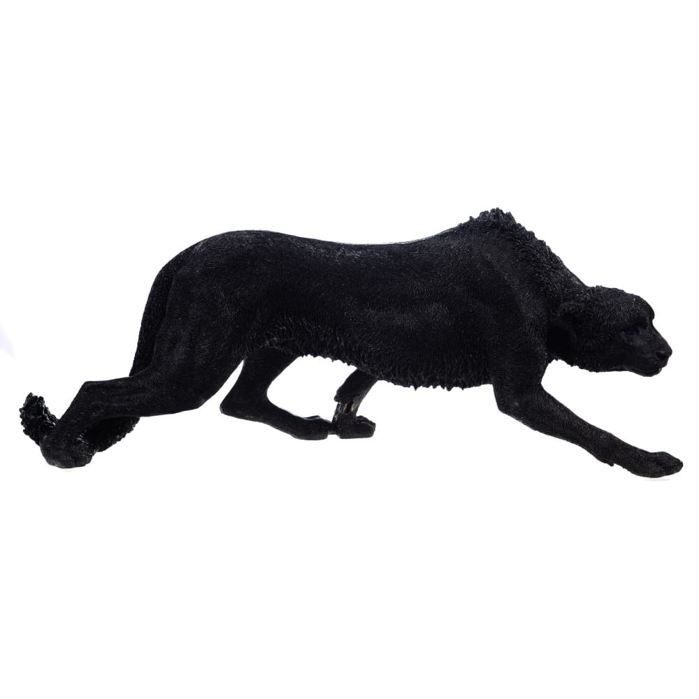 Guépard  en marche 120