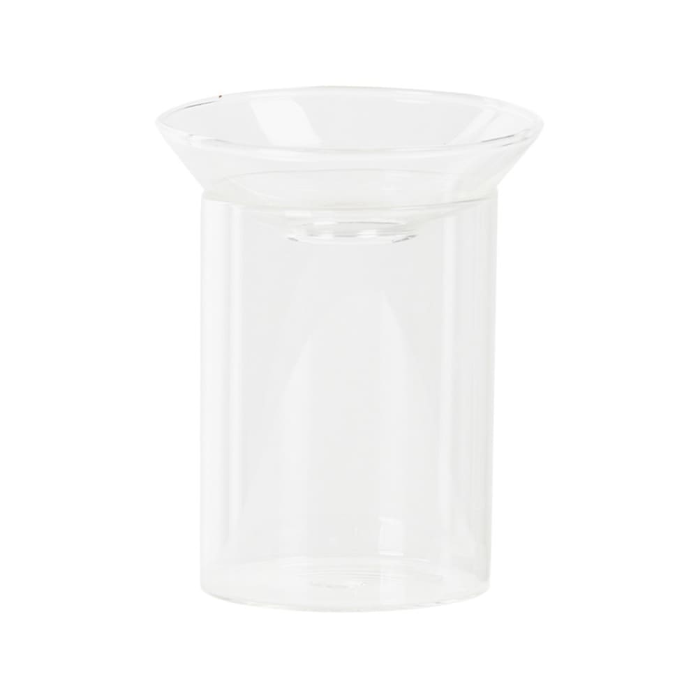 Vase germination 12 cm transparent