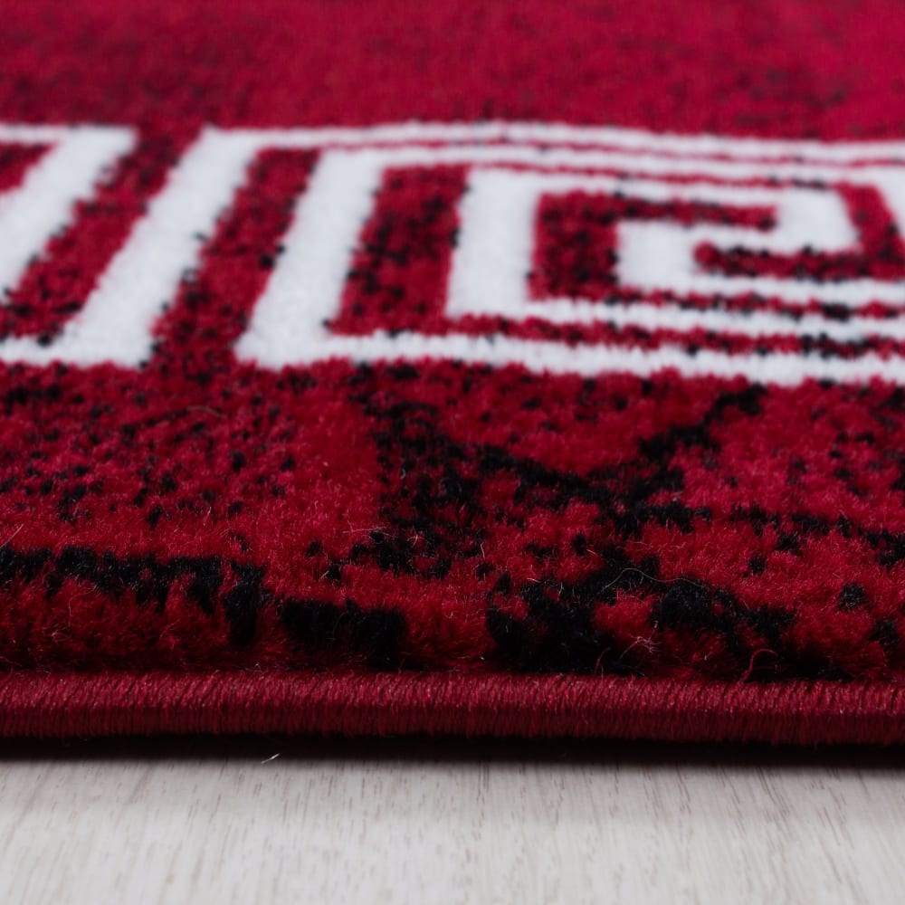 Tapis baroque rouge 120x170cm — vue 4