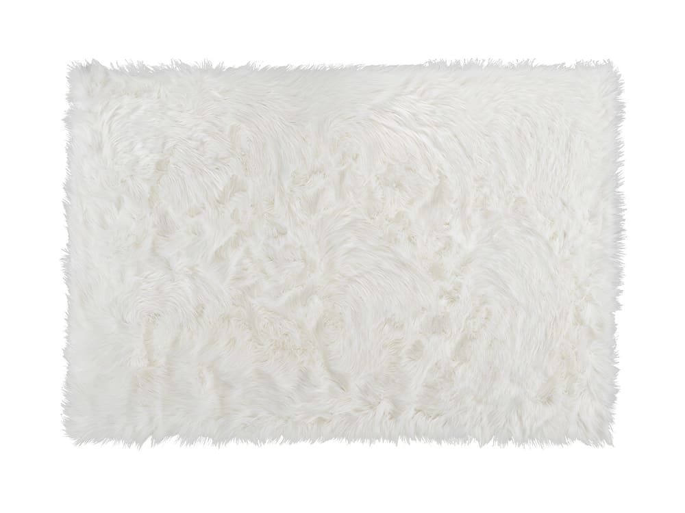 Tapis de salon  blanc