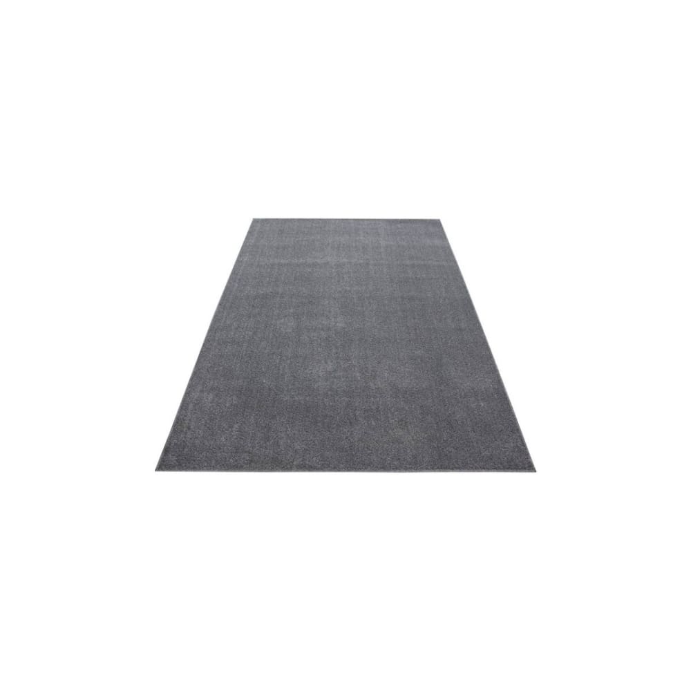 Tapis uni contemporaine en polypropylène gris clair 120x170