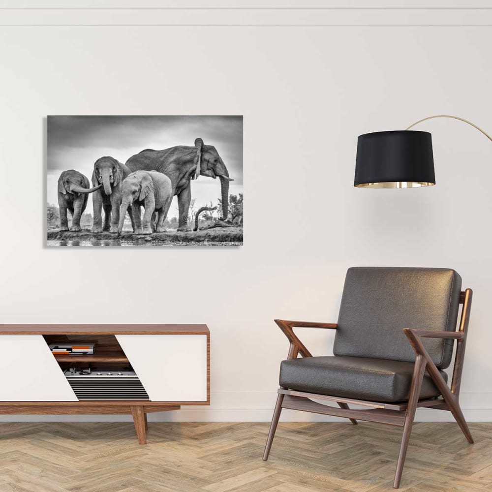 Tableau animaux bataille d'eau Tableau plexiglas 120x80 cm