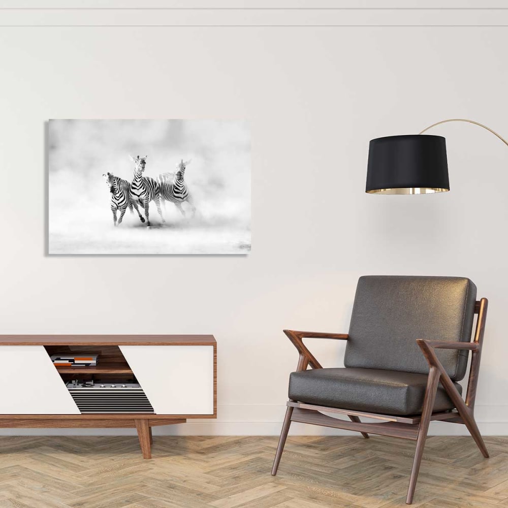 Tableau animaux racing stripes Tableau plexiglas 120x80 cm