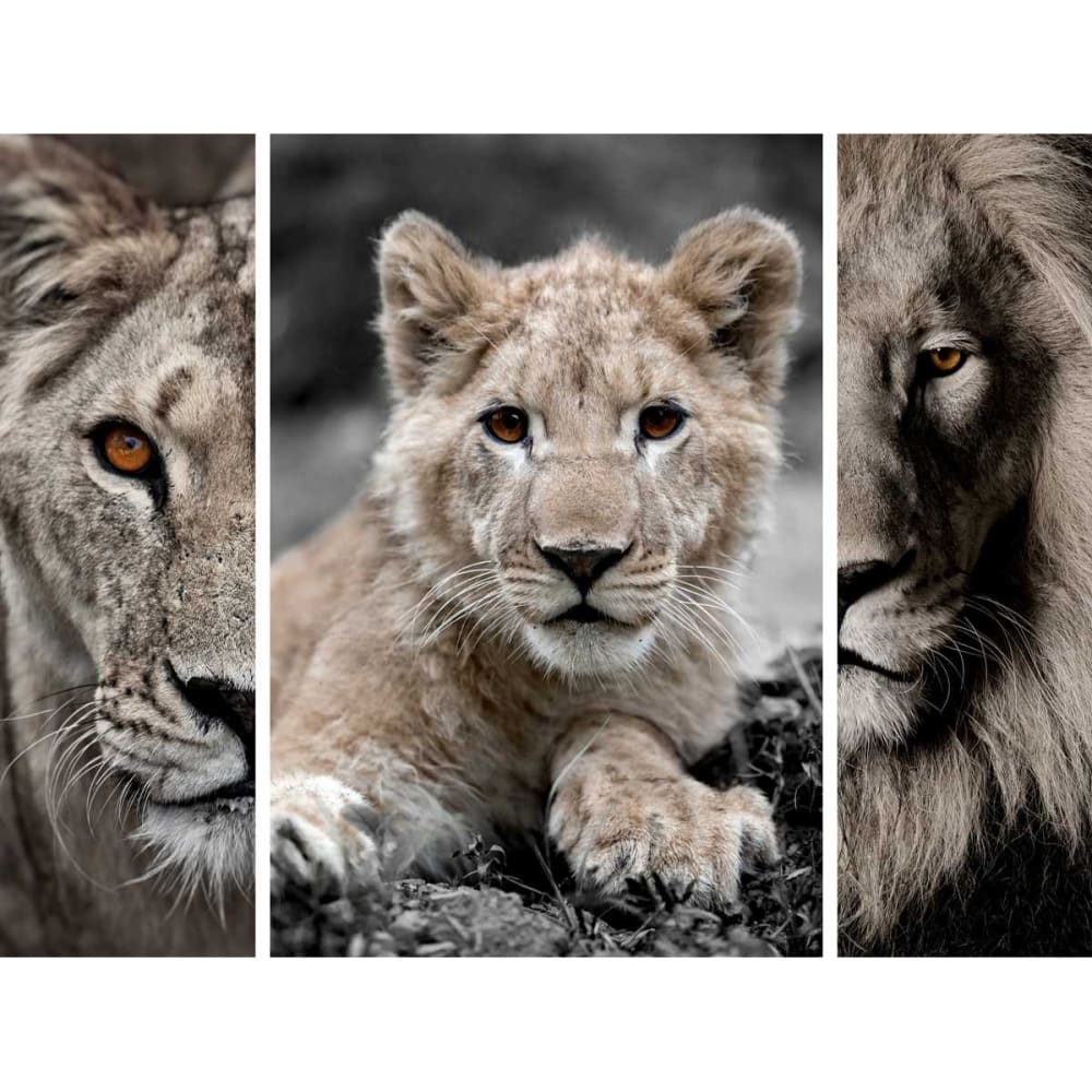 triptyque sur toile famille