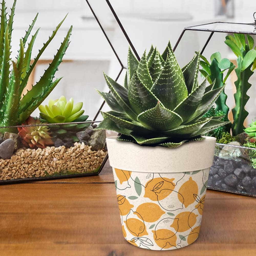 Cache pot en bambou citrons 12 cm - Maisons du Monde