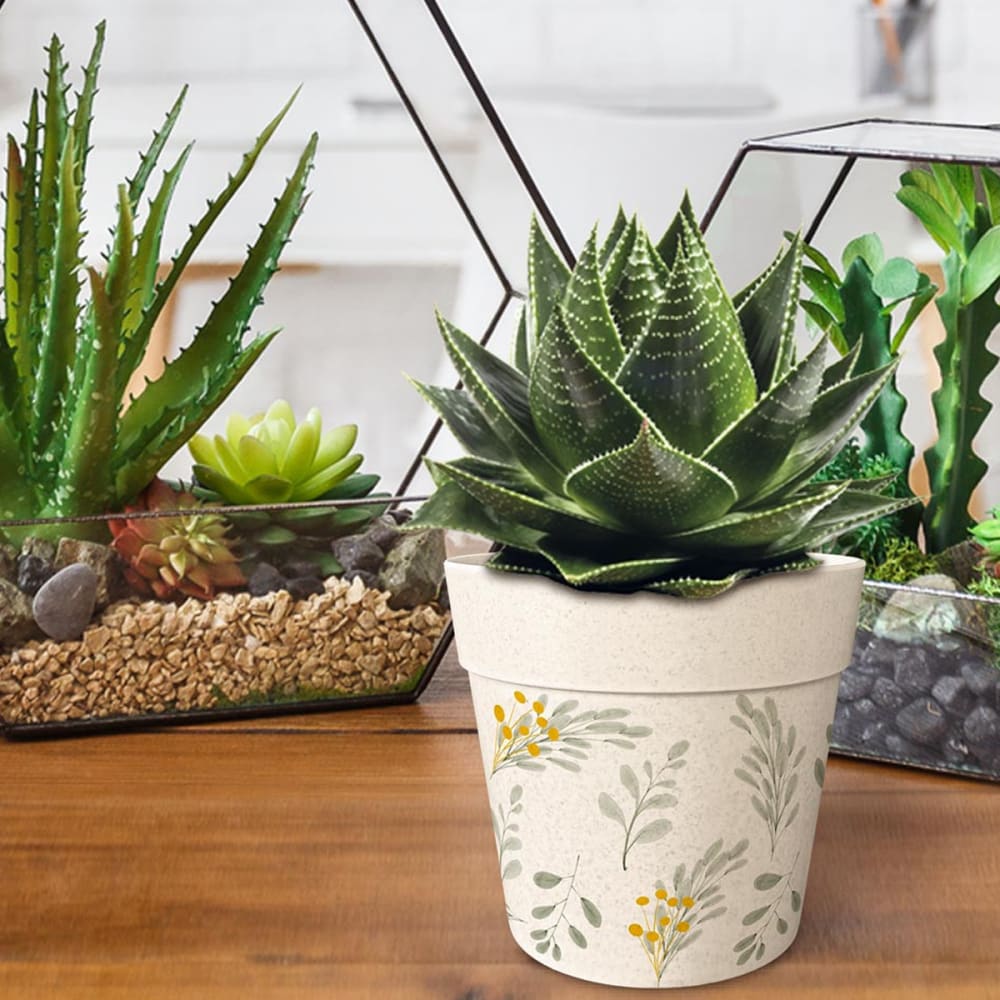 Cache pot en bambou petites branches 12 cm - Maisons du Monde