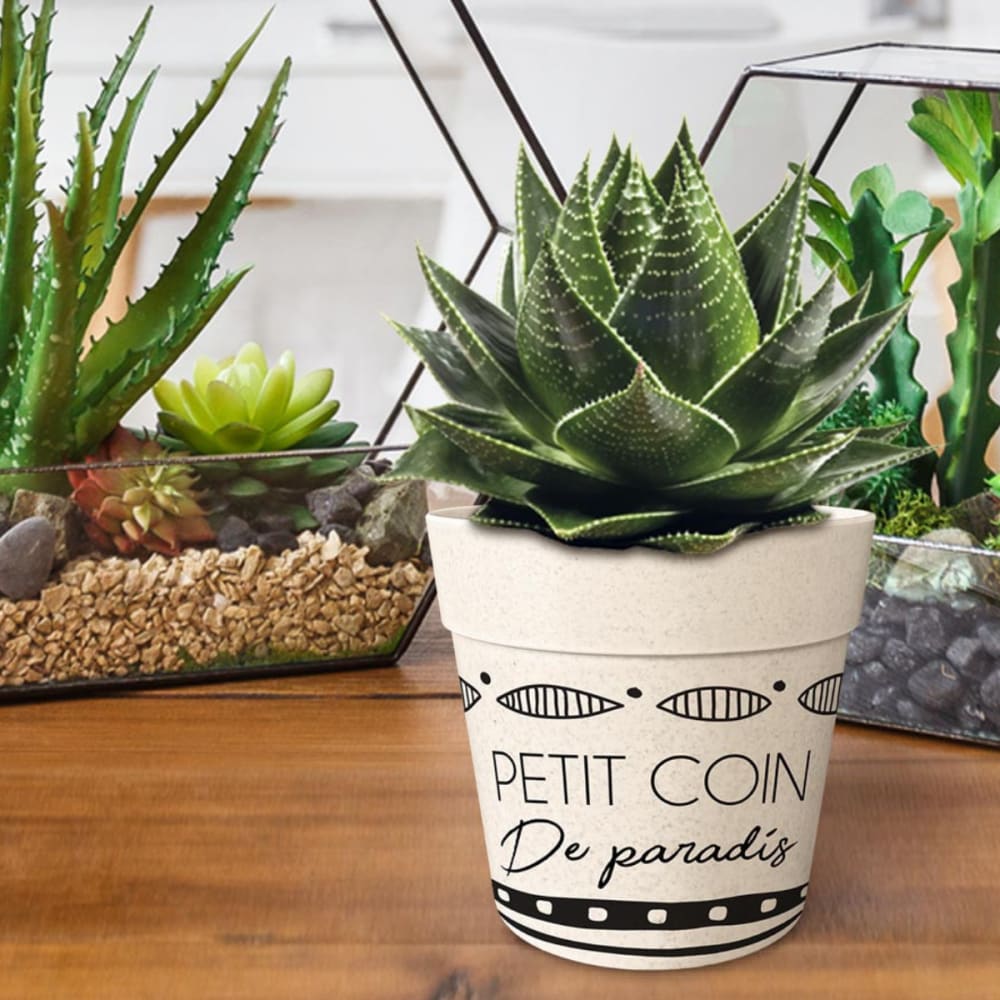 Cache pot en bambou petit coin de paradis 12 cm - Maisons du Monde