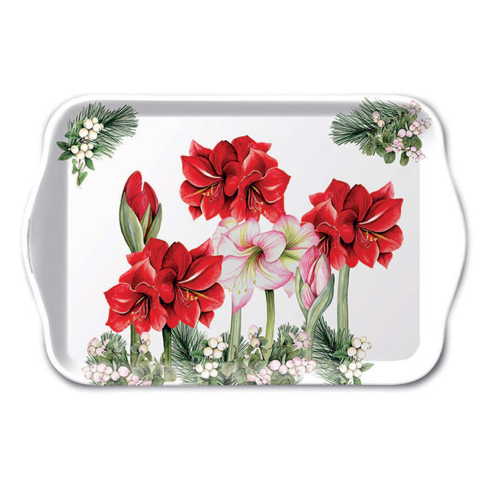 Mini plateau amaryllis rouge Mini plateau amaryllis rouge