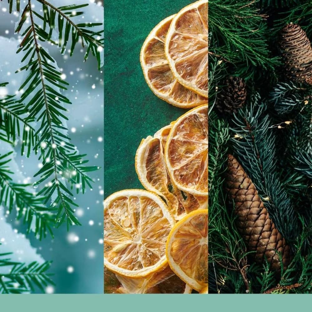 Moyenne bougie fêtes de noël vert en verre