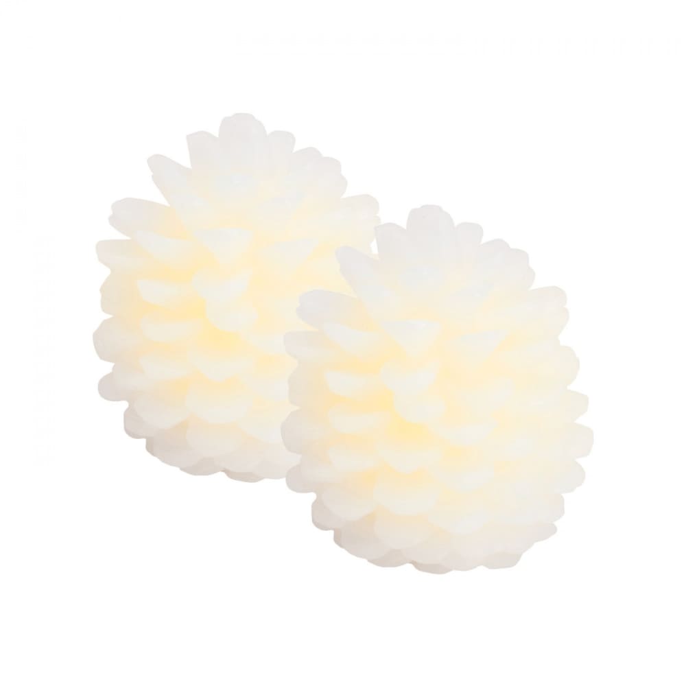 Lot de 2 pomme de pin LED h 10cm Blanche