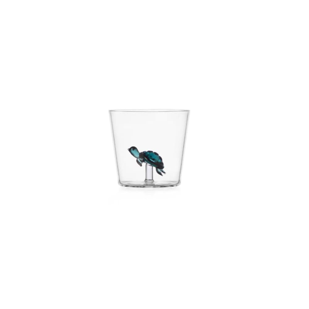 Verre tortue transparent Verre tortue transparent