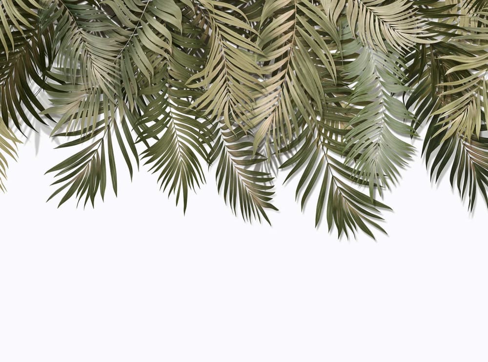Papier peint palmes suspendues 364x270 cm — vue 3