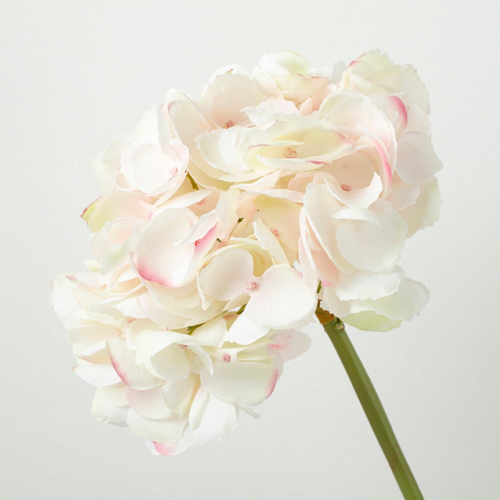 Tige d'hortensia artificielle crème H48 - Maisons du Monde
