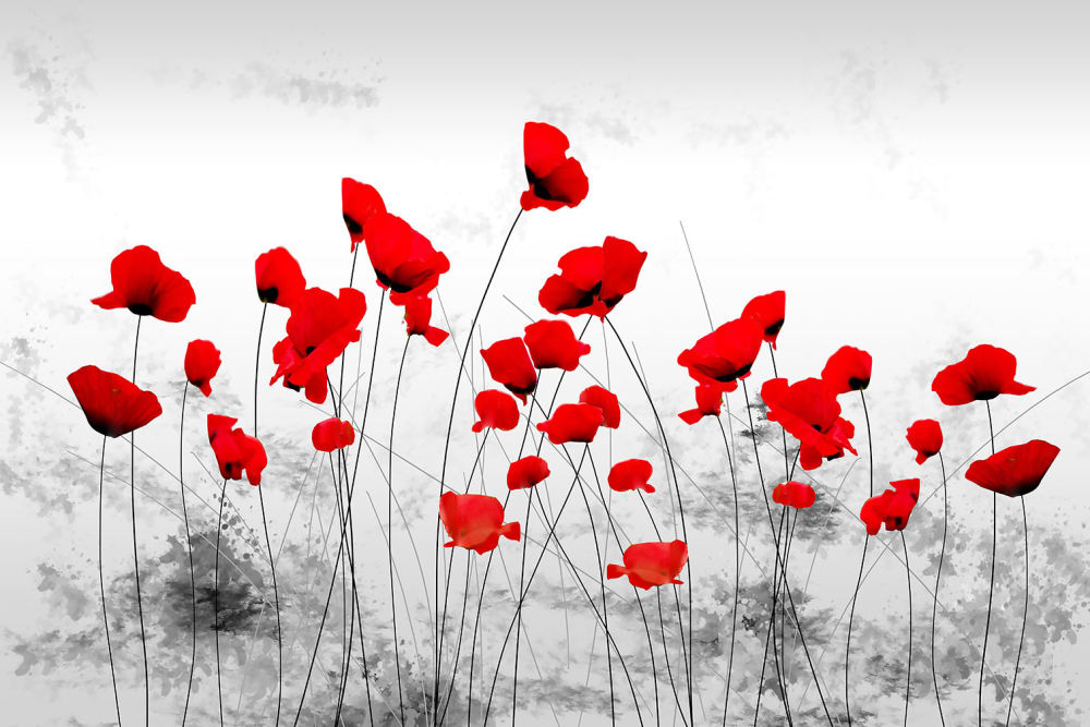 Tableau design coquelicots