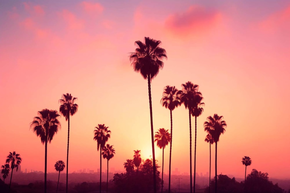 Tableau palmier rose ciel imprimé sur toile 90x60 cm