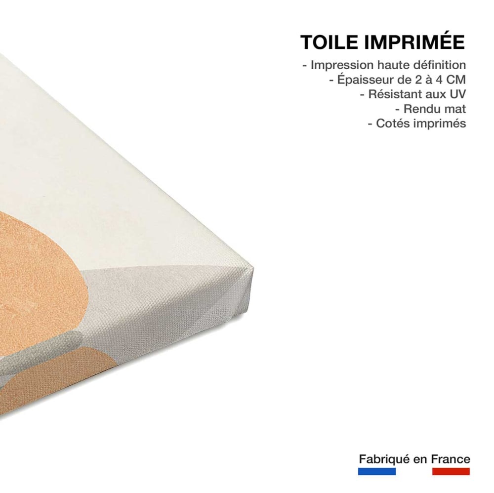 Tableau organique vase et minimalisme imprimé sur toile 60x90 cm — vue 4