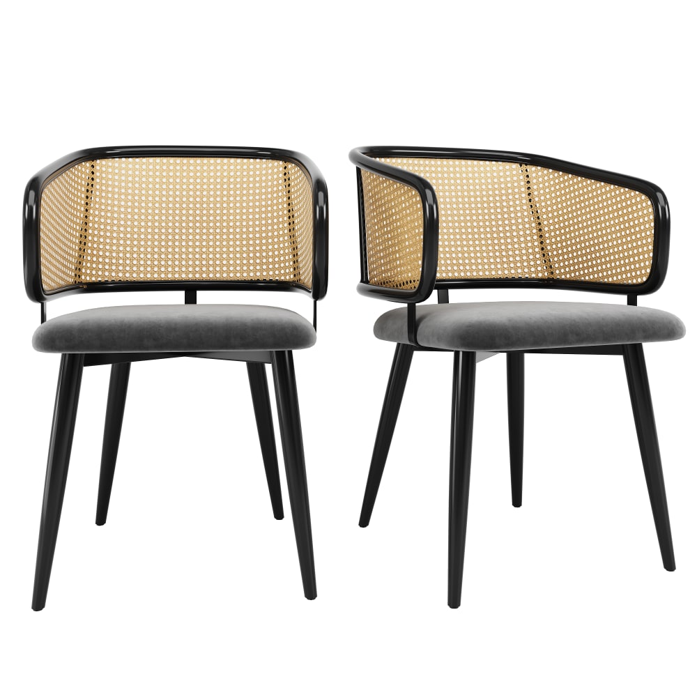 Lot de 2 chaises avec