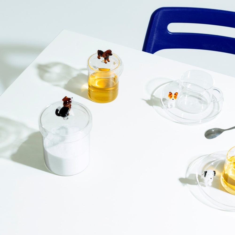 Boite bonbonnière foxhound Transparent - Maisons du Monde