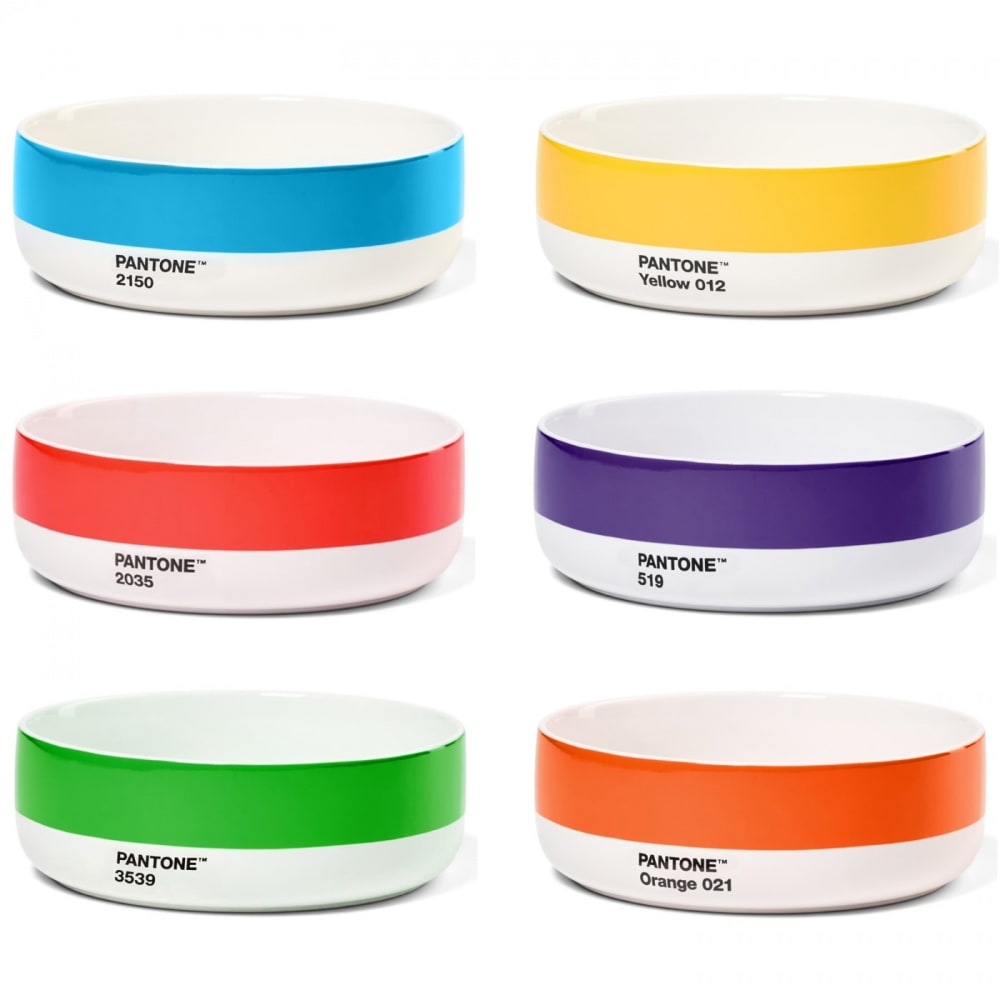 Lot de 6 bols Multicolore