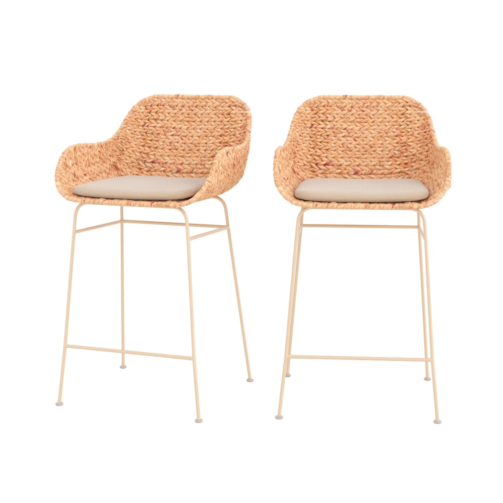 Lot de 2 chaises pour