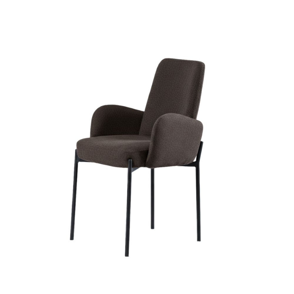 Ensemble de 2 chaises