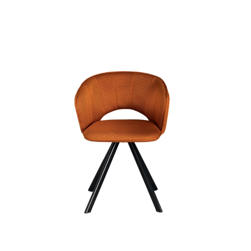 Ensemble de 2 chaises