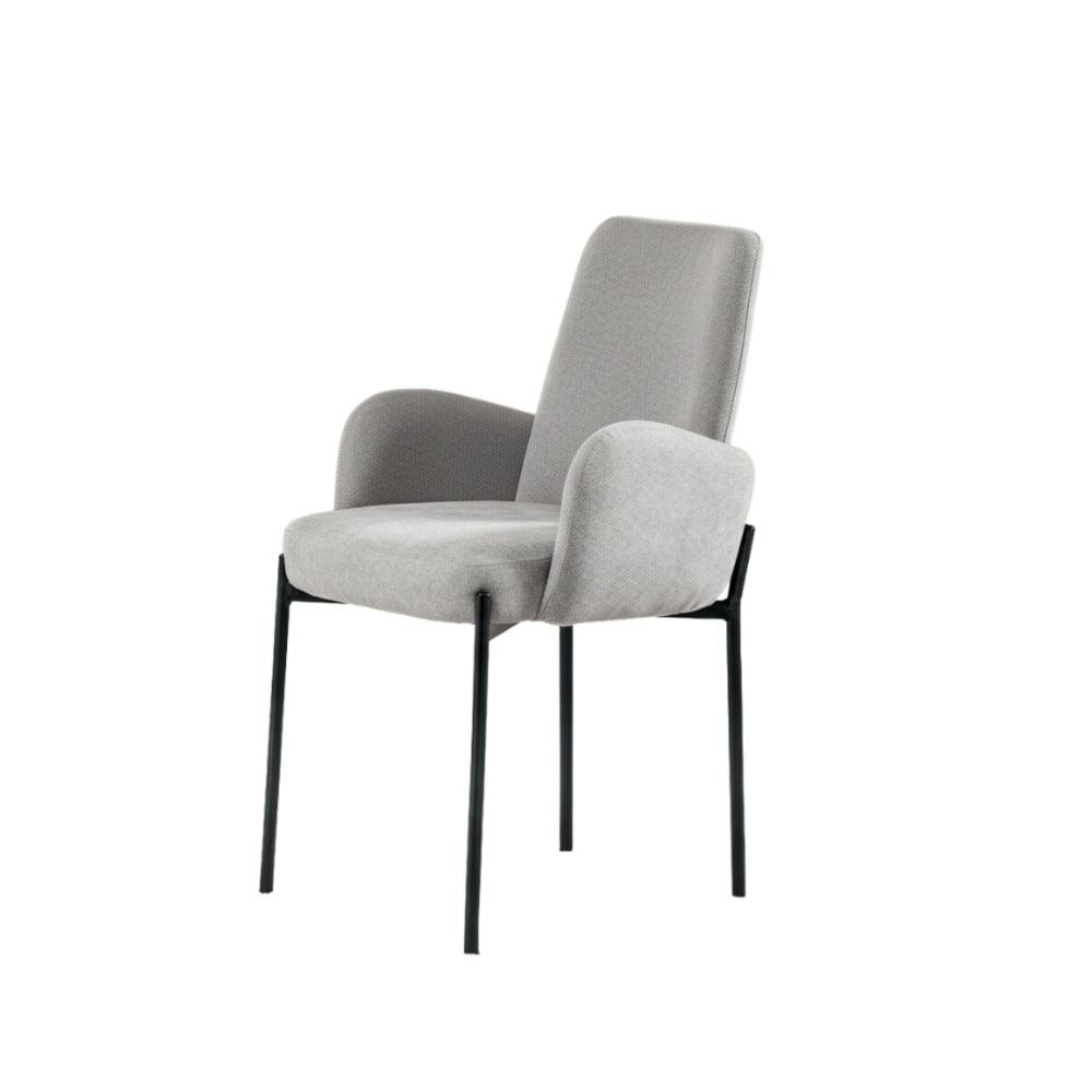 Ensemble de 2 chaises