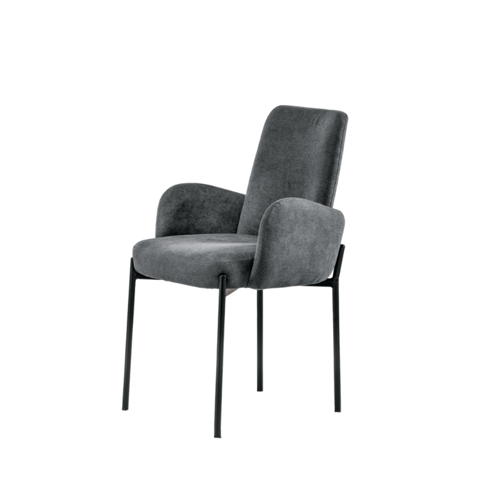 Ensemble de 2 chaises