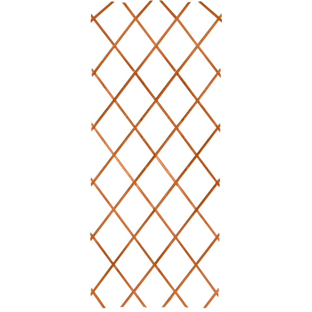Treillis en bois extensible pour plantes grimpantes 180x60x0.5cm