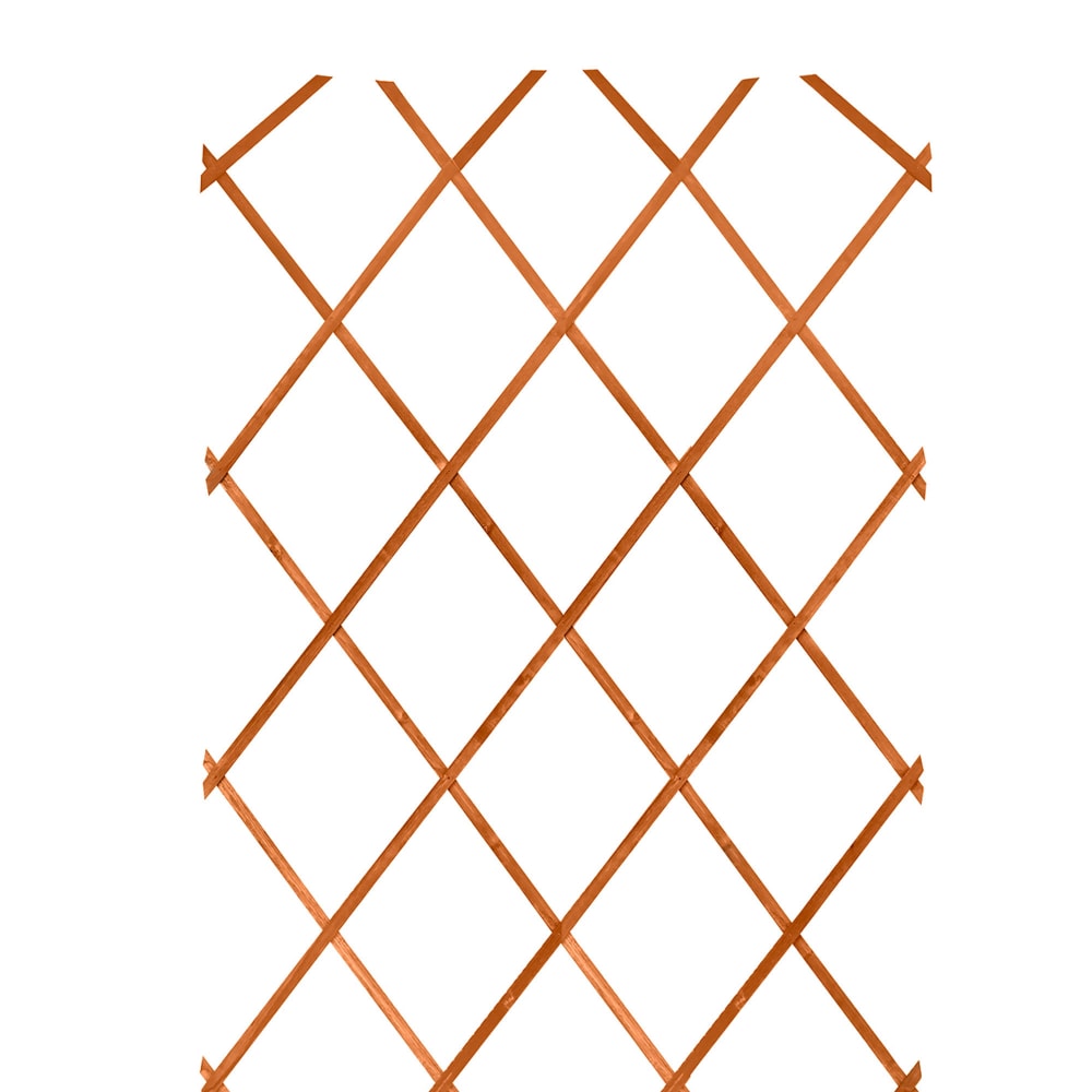 Treillis en bois extensible pour plantes grimpantes 180x60x0.5cm — vue 3