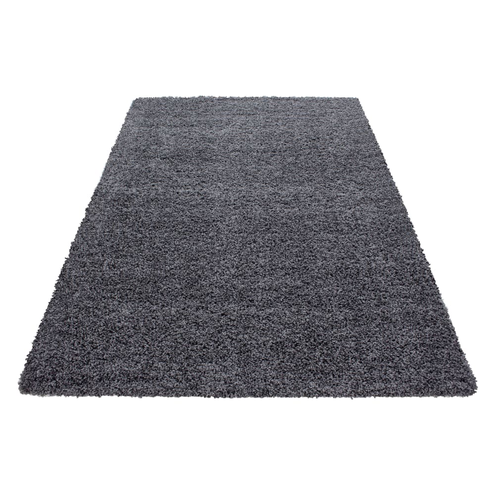 Tapis intérieur à poils longs gris-60x110