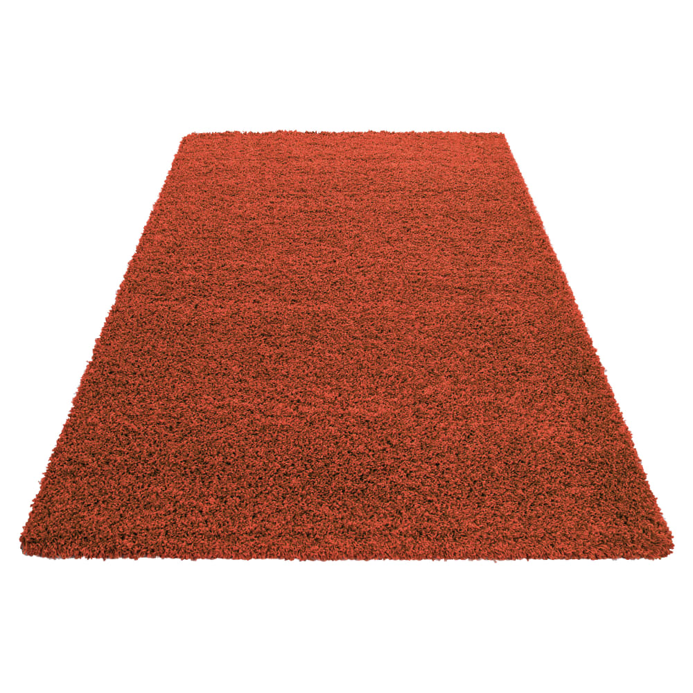Tapis intérieur à poils longs terracotta-60x110