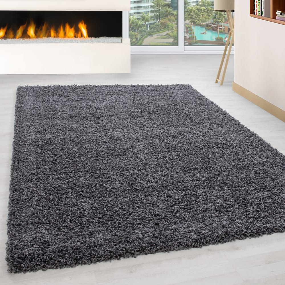 Tapis intérieur à poils longs gris-120x170 — vue 3