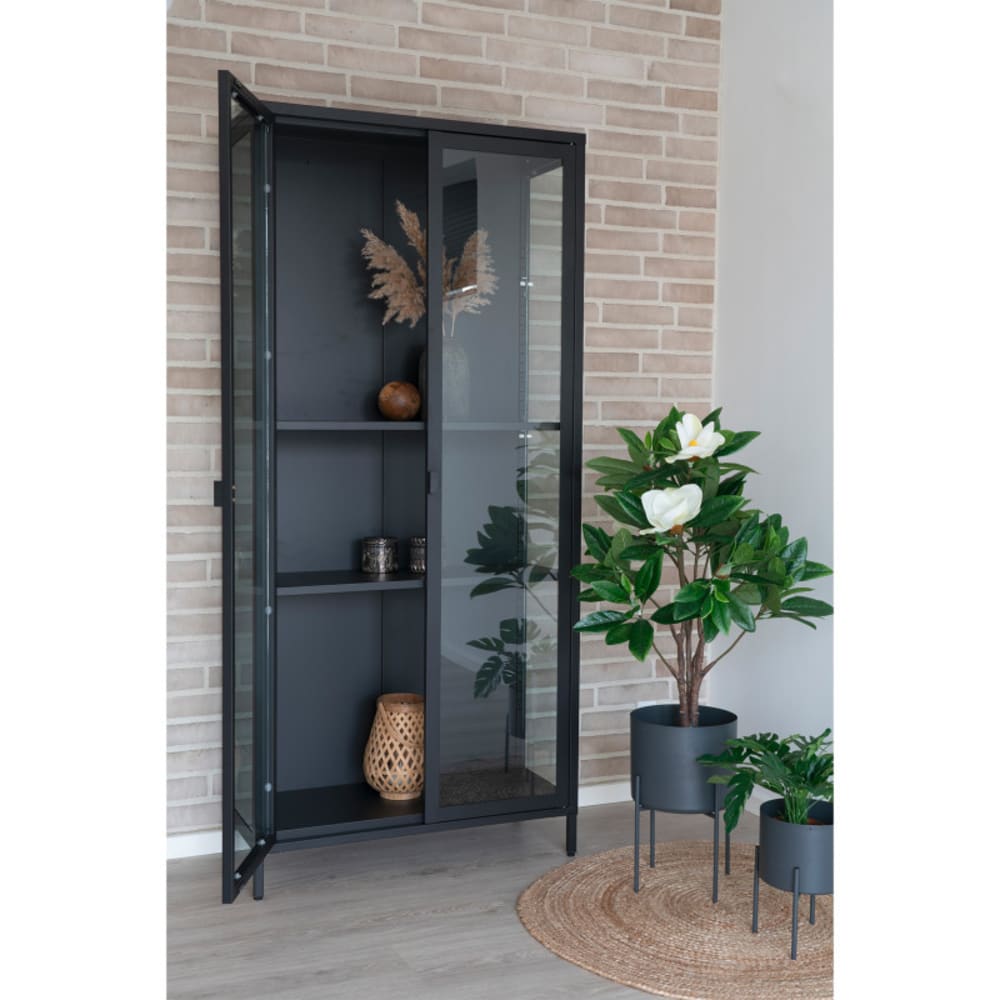 Aufbewahrungsschrank mit 2 Glastüren schwarzer Stahl 80x175 cm -