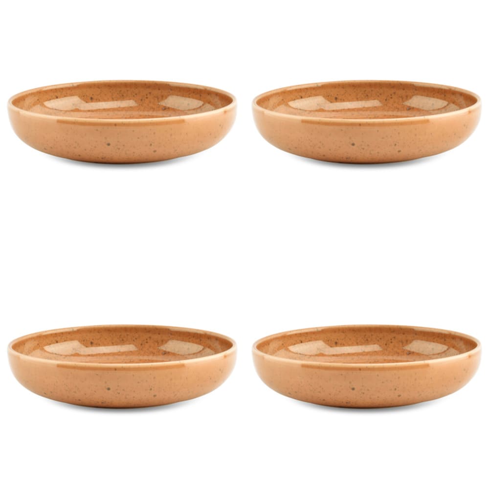 Lot de 4 bols orange en grès 21,5xh4,5cm Lot de 4 bols orange en grès 21,5xh4,5cm